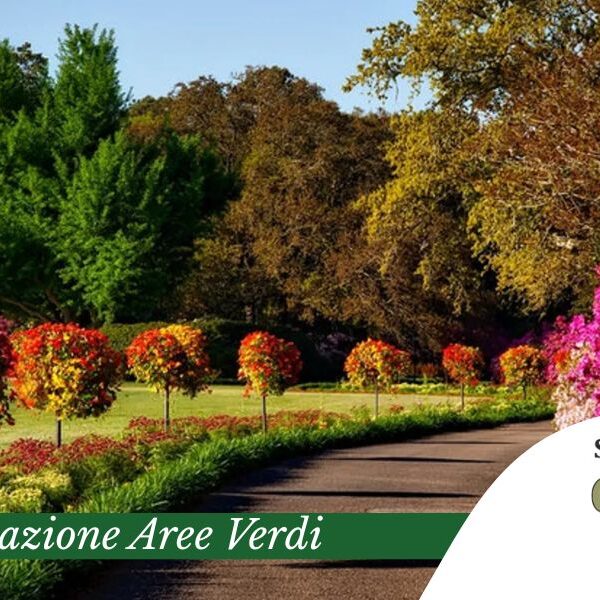 Progettazione aree verdi a Bergamo da Società Agricola Calderoli