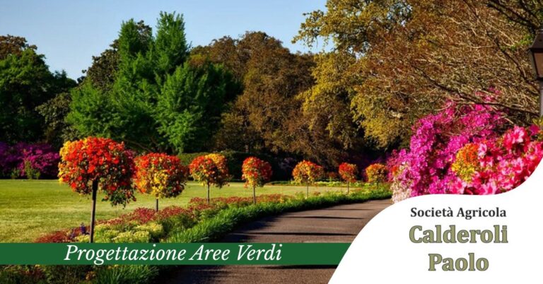 Progettazione aree verdi a Bergamo da Società Agricola Calderoli
