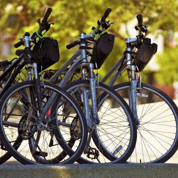 Rivenditore ufficiale biciclette Velomarche e Alpina a Bergamo da Atelier della bicicletta
